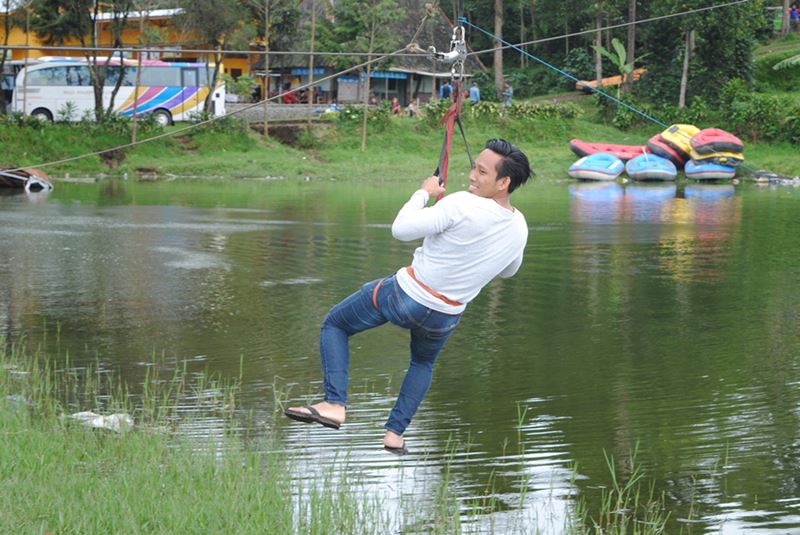flying fox